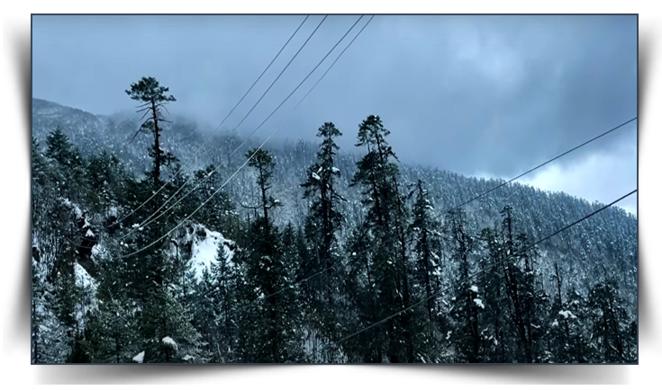 8 Nights & 9 Days – Sikkim